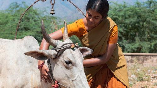 Food Lore Season 1 Episode 4 - A Plate of Moon