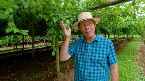 Gardening Australia Season 31 Episode 23 - Episode 23 Garden Inspiration Special