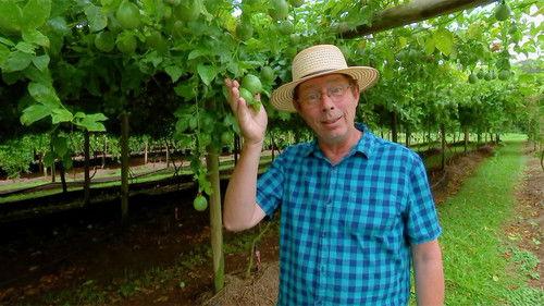 Gardening Australia Season 31 Episode 23 - Episode 23 Garden Inspiration Special