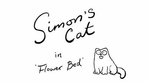 Simon's Cat Season 6 Episode 3 - Flower Bed