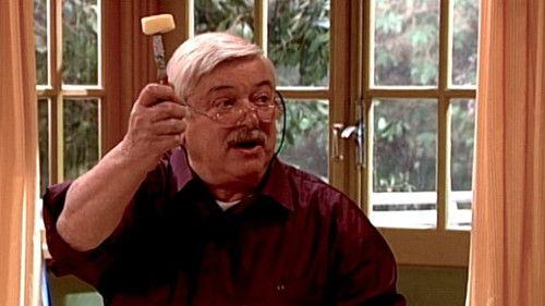 Oppassen!!! Season 13 Episode 17 - Bombarie