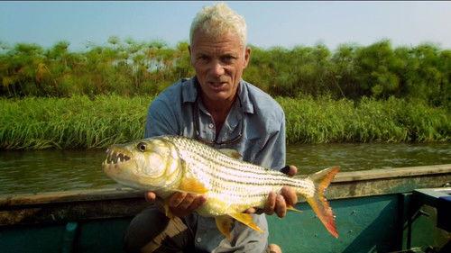 River Monsters Season 4 Episode 2 - Pack of Teeth