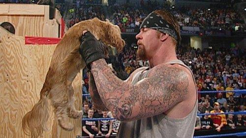 WWE SmackDown Season 5 Episode 8 - SmackDown - Feb. 20, 2003
