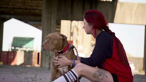 Pit Bulls and Parolees Season 4 Episode 12 - A Family Affair