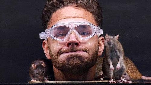 I'm a Celebrity...Get Me Out of Here! Season 16 Episode 9 - Cage Rage