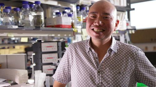 Horizon Season 53 Episode 11 - Why Are We Getting So Fat?