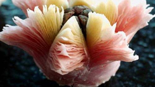 A Bite of China Season 3 Episode 6 - Pastries