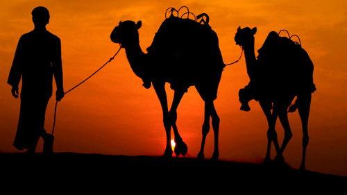 Expedition Files Season 3 Episode 8 - History Got It Wrong