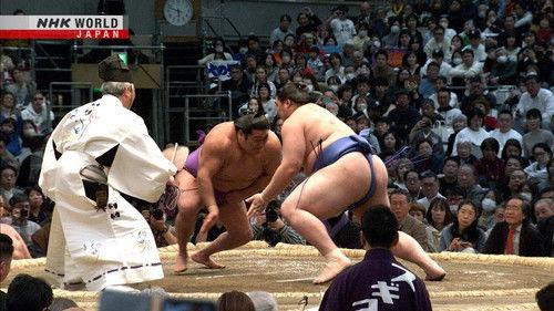 GRAND SUMO Highlights Season 28 Episode 12 - Day 12