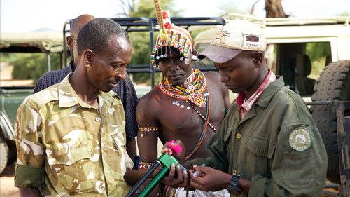 This Wild Life Season 1 Episode 5 - Problems In Paradise