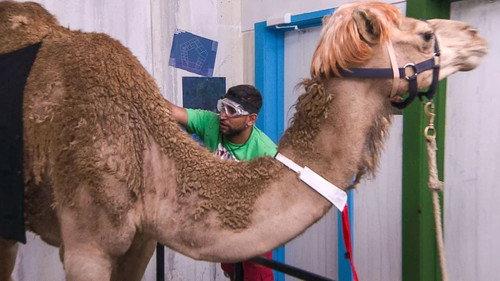 I'm a Celebrity...Get Me Out of Here! Season 17 Episode 6 - The Fright House