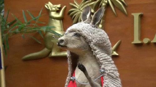 I'm a Celebrity...Get Me Out of Here! Season 10 Episode 8 - Unfairground