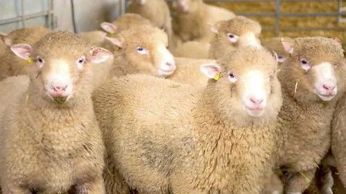 Countryfile Season 35 Episode 18 - Lambing Special