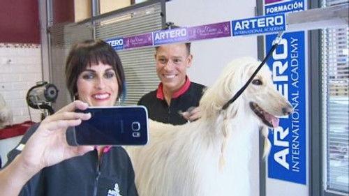 El jefe infiltrado Season 4 Episode 4 - Episode 4