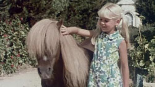 Poly Season 9 Episode 12 - Episode 12