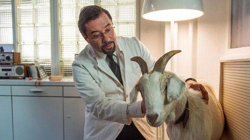 undefined Season 43 Episode 30 - The Miracle of Wolbeck