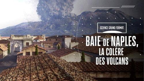 Science grand format Season 5 Episode 25 - Episode 25