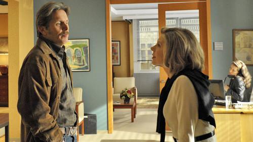 The Good Wife Season 1 Episode 18 - Doubt
