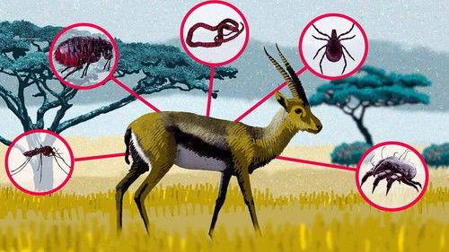 42 – The Answer to Almost Everything Season 1 Episode 24 - Episode 24