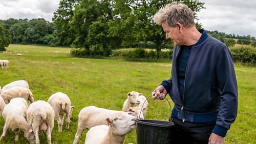 Gordon Ramsay's Future Food Stars Season 2 Episode 4 - Episode 4