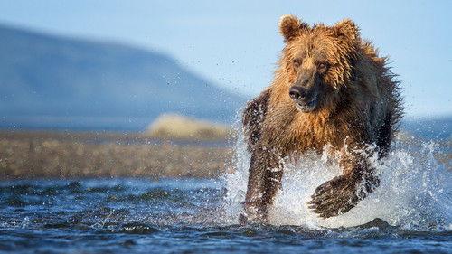 The Hunt Season 1 Episode 6 - Race Against Time (Coasts)