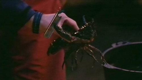 I'm a Celebrity...Get Me Out of Here! Season 2 Episode 12 - Jungle Slide