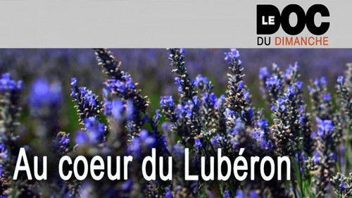 Le Doc du dimanche Season 7 Episode 22 - Episode 22