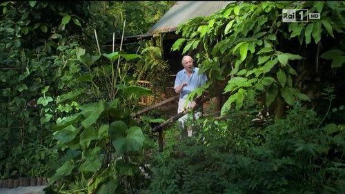 Superquark Season 20 Episode 9 - Episode 9