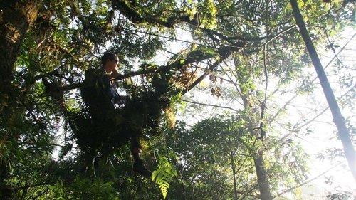 Man vs. Wild Season 4 Episode 9 - Guatemala