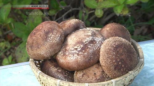 Trails to Tsukiji Season 2 Episode 3 - Shiitake