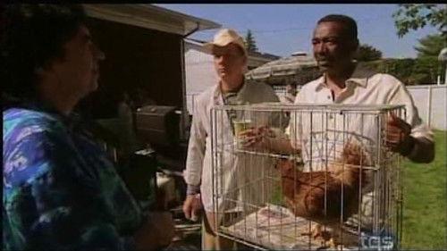 Bob Gratton : Ma Vie, My Life Season 1 Episode 11 - Episode 11