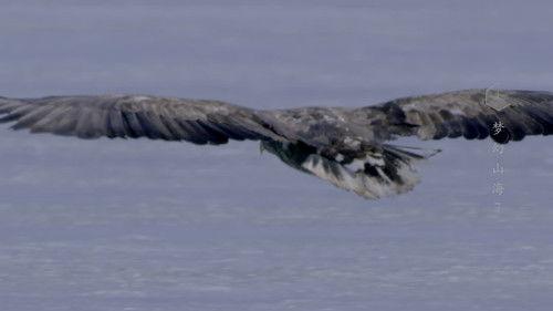 China: The Sublime Season 1 Episode 7 - Episode 7