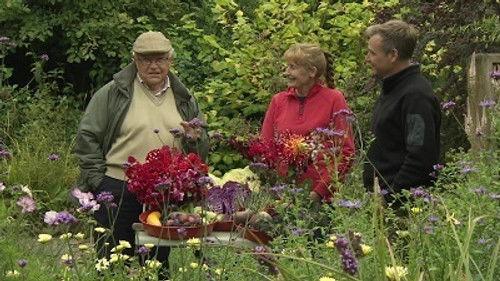The Beechgrove Garden Season 40 Episode 16 - Episode 16