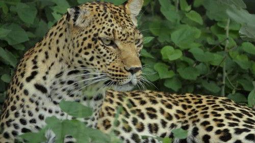 Background image for War Games