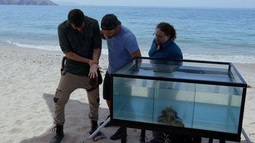 Kings of Pain Season 1 Episode 5 - Point of the Dead