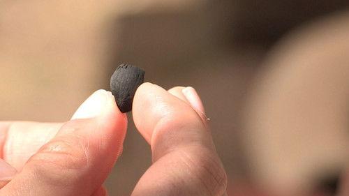 Background image for Episode 5