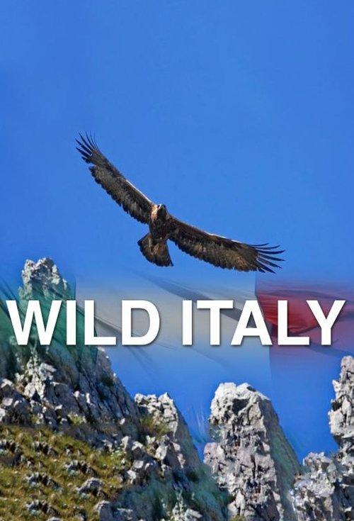 Wild Italy poster