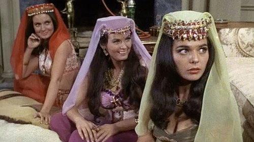 Mr. Terrific Season 1 Episode 17 - The Sultan Has Five Wives