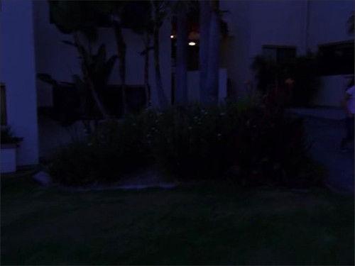 Zoey 101 Season 3 Episode 11 - Quarantine