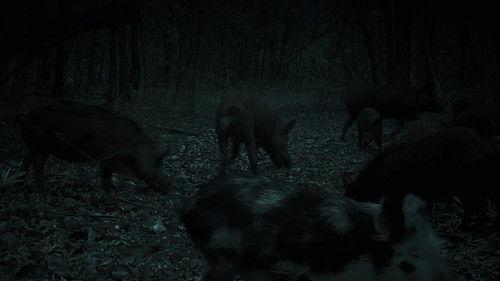 Naked and Afraid Season 11 Episode 6 - Close Encounters