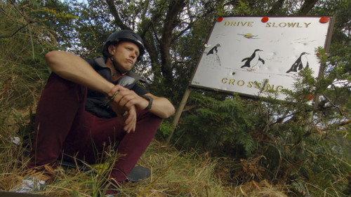 Bushwhacked! Season 1 Episode 10 - Penguins