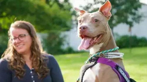 Background image for Ready, Set, Hanabi!