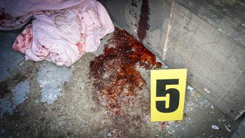 Paranormal Emergency Season 1 Episode 4 - There's No Training for This