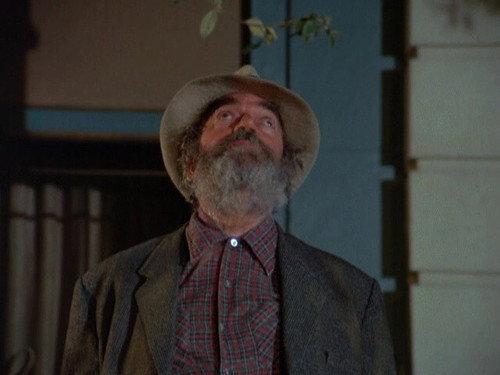 Eight Is Enough Season 3 Episode 12 - You Won't Have Nicholas to Kick Around Anymore (1)