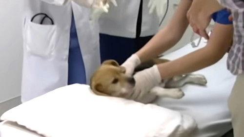 Untold Stories of the ER Season 2 Episode 15 - Surgery Won't Help