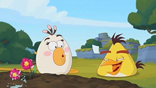 Angry Birds Toons Season 3 Episode 24 - Photochucked