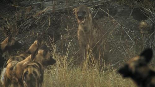 Background image for Ascendancy