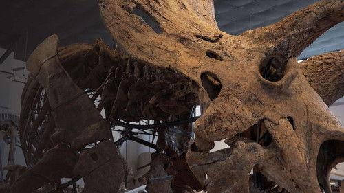 Secrets of the Dead Season 20 Episode 7 - Jurassic Fortunes