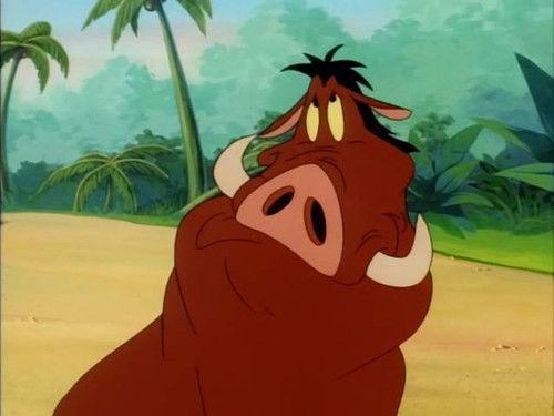 Timon and Pumbaa Season 3 Episode 7 - Wide Awake in Wonderland