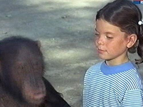 Daktari Season 4 Episode 7 - A Man's Man